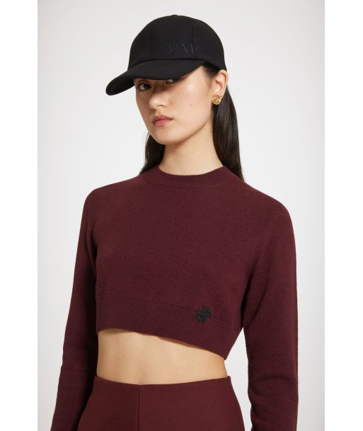 Cropped jumper in sustainable wool and cashmere Le MVP de beaucoup