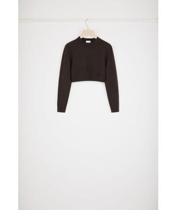 Cropped jumper in sustainable wool and cashmere Amélioration de cerveau avec