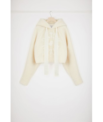 Faux shearling Medallion hoodie in recycled polyester Le MVP de beaucoup